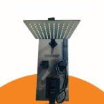 Concealed/Conduit Shower